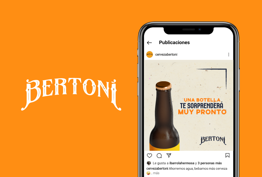 Bertoni-diseño-redes